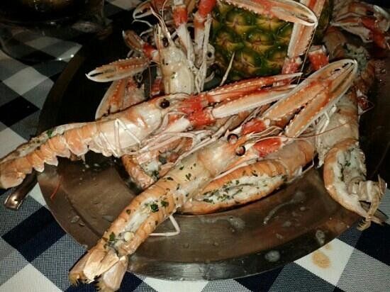 Trattoria Gaetano Lupi